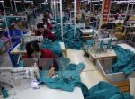 Many garment enterprises have orders until the end of the second quarter